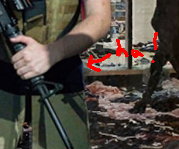 ../../../../_images/fox_fake_2_z.jpg